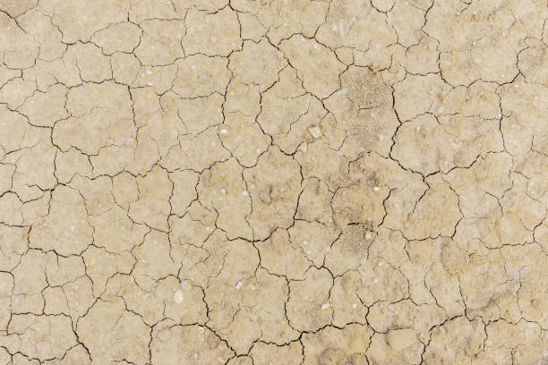istock Cracked dirty earth. Soil ground with cracks texture from above. Global warming effect. 1205255538