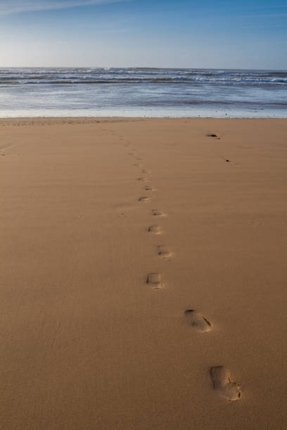 lonely footprints in the sand going from the sea. vacation concept,