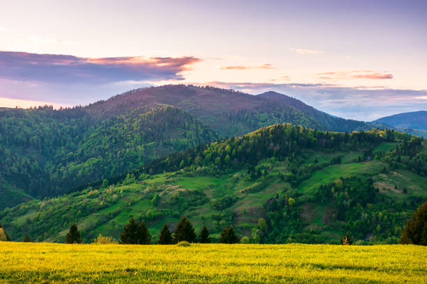 istock rural landscape in mountains at dusk 1205256186