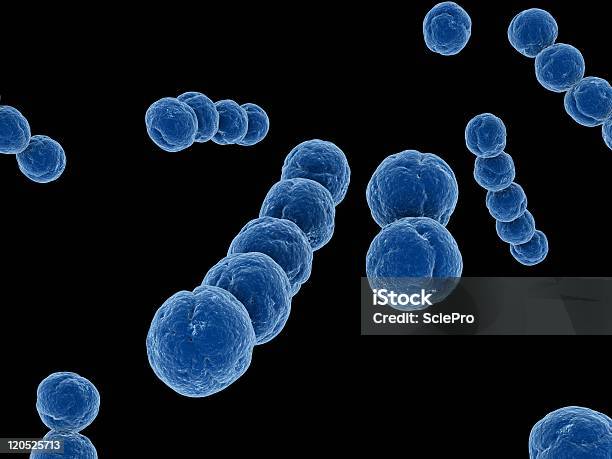 Streptococco - Fotografie stock e altre immagini di Streptococco - Streptococco, Batterio, Biologia