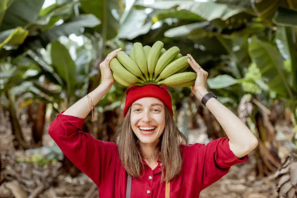Portrait of a cute smiling woman holding a stem with fresh green bananas above the head. Healthy eating and wellness concept