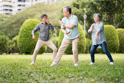 Group of Asian mature friends practicing tai chi outside at public park