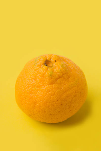 istock ugly orange on a yellow background. 1205260518