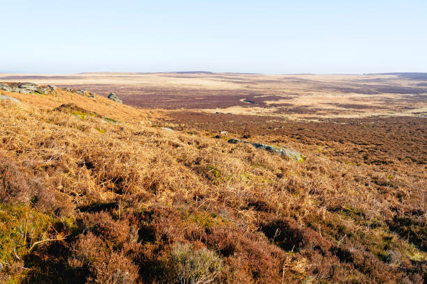 istock A misty Derbyshire landscape dressed in its winter colours 1205261360