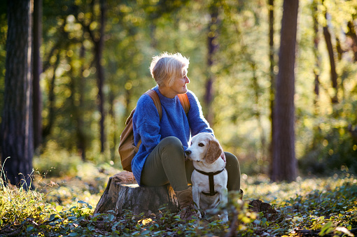 A senior woman with dog on a walk outdoors in forest, resting.
