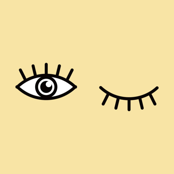 ilustrações de stock, clip art, desenhos animados e ícones de eyes and eyelashes icon vector illustration. isolated badge for website or app . - close up of iris