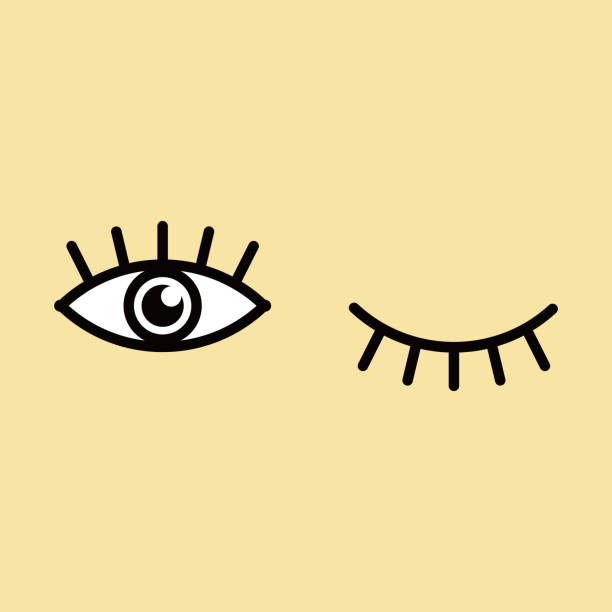 Eyes and eyelashes icon vector illustration. Isolated badge for website or app . Eyes and eyelashes icon vector illustration. Isolated badge for website or app in colored background. winking stock illustrations