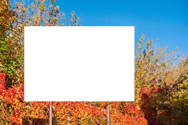 istock Blank billboard mockup in the park 1205276507