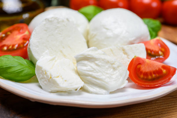 istock Cheese collection, white italian mozzarella cheese balls for salad or for appetizer snacks from deli shop in New York, USA 1205276551