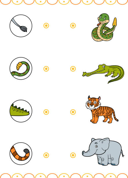 Matching game, education game for children. Find the right parts, set of cartoon animals Matching game, education game for children. Find the right parts, set of cartoon animals. Elephant, Crocodile, Rattle snake, Tiger gavial stock illustrations