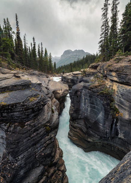 istock Traveler standing on Mistaya Canyon with pine forest at Icefields Parkway 1205281397