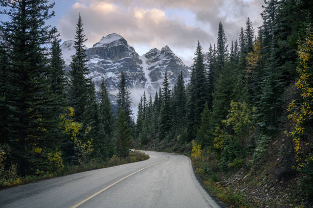 highway with rocky mountains in pine forest at moraine lake in banff national park - lake mountain range mountain deep imagens e fotografias de stock