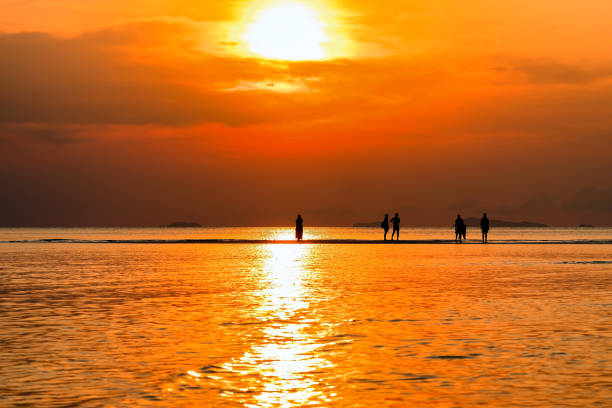 istock Sunset Silhouettes with seascape background 1205281652