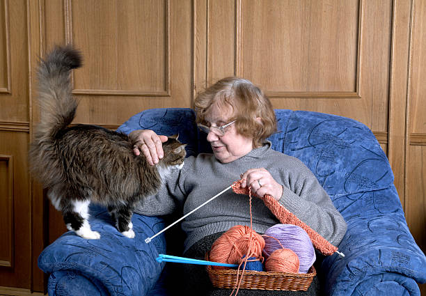 istock The old woman stroke a cat 120528225