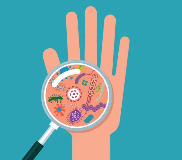 Vector illustration of Magnifier and bacterial cells on human palm