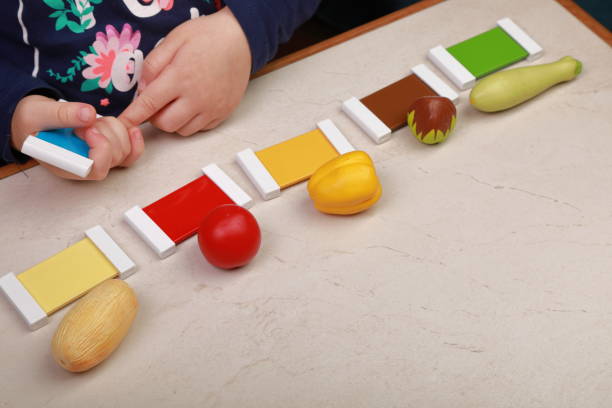 montessori materials for teaching children