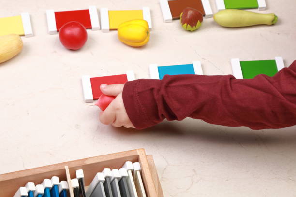 istock montessori materials for teaching children 1205283810