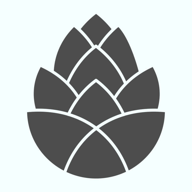 Pinecone brewery plant solid icon. One single flower of pine cone. Autumn season vector design concept, glyph style pictogram on white background, use for web and app. Eps 10. Pinecone brewery plant solid icon. One single flower of pine cone. Autumn season vector design concept, glyph style pictogram on white background, use for web and app. Eps 10 pinecone stock illustrations