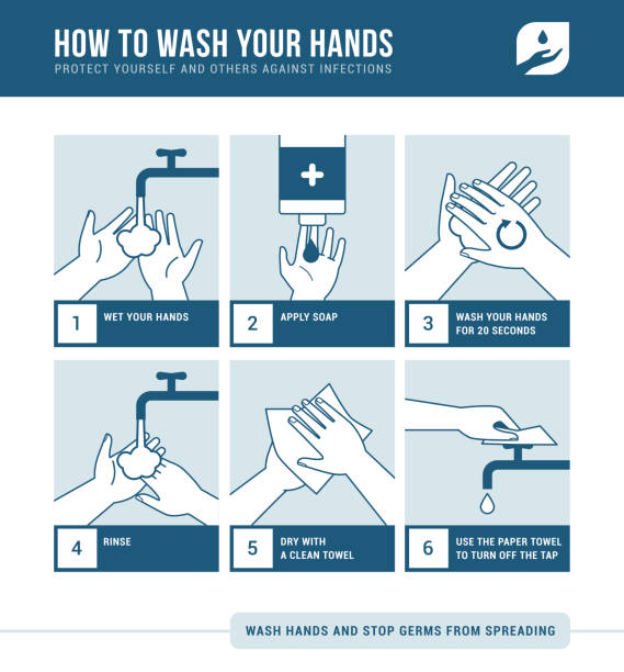 ilustrações de stock, clip art, desenhos animados e ícones de how to wash your hands - washing hands