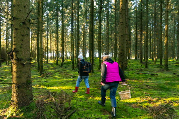 istock Two senior ladies out in the forest 1205287149
