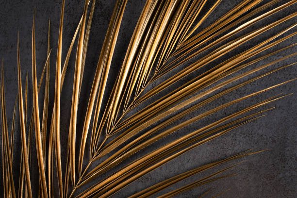 istock closeup of golden palm leaf on dark grey background 1205287508