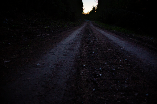 A country road rambles in to the sunset. in Kalispell, MT, United States