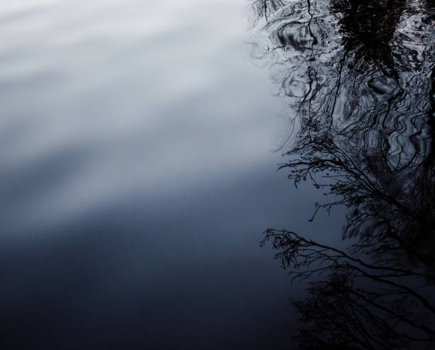 dark and moody water ripples with a reflection of trees at sunset in Norrtälje, Stockholm County, Sweden