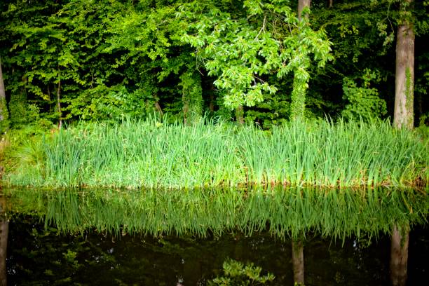 Canal in Saint-Aignan in Brittany in Saint-Aignan, Brittany, France