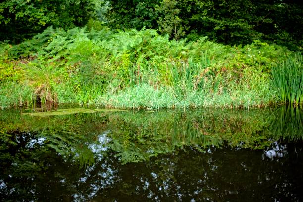 istock Canal in Saint-Aignan in Brittany 1205289146
