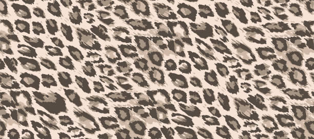ilustrações, clipart, desenhos animados e ícones de padrão de pele de leopardo vetorial perfeito. elegante estampa de leopardo selvagem da moda. fundo animal de origem animal desenhado à mão para tecido, têxtil, design, banner publicitário. - animal track