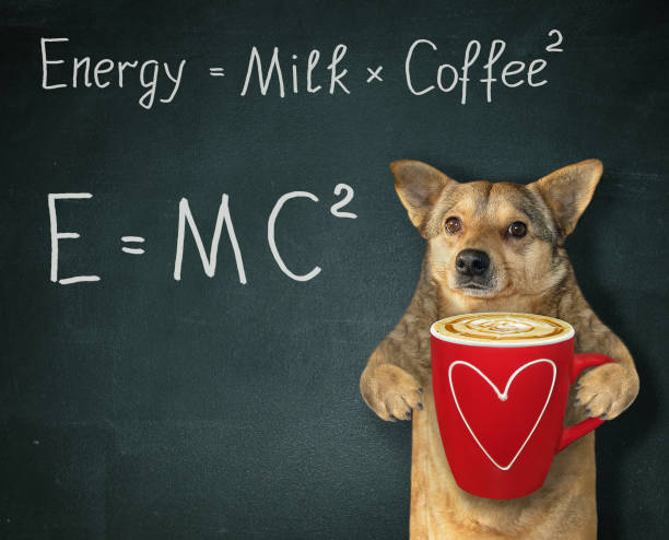 perro con café energético - mc2 fotografías e imágenes de stock