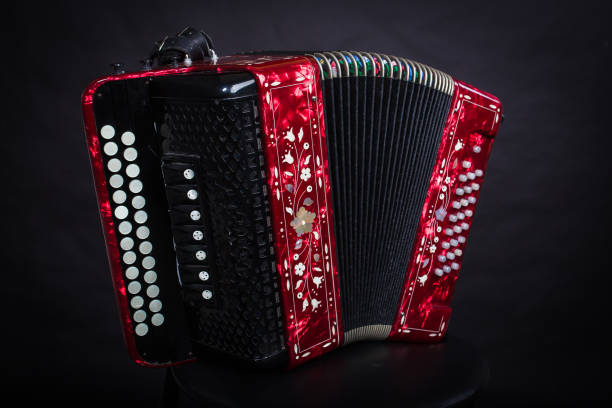 istock Accordion isolated on a black background 1205294291