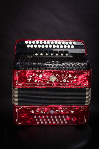 istock Accordion isolated on a black background 1205294300