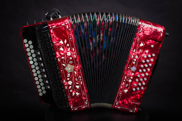 istock Accordion isolated on a black background 1205294309