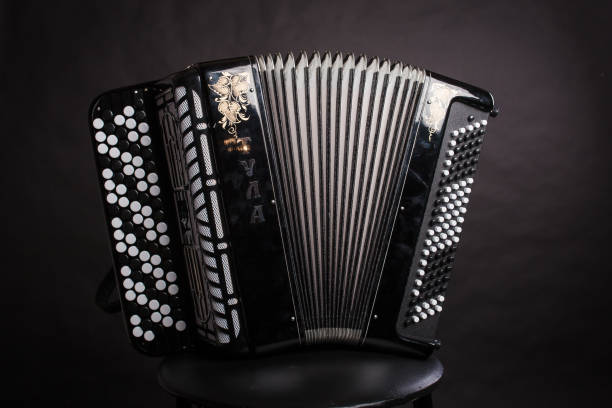 istock Accordion isolated on a black background 1205294367