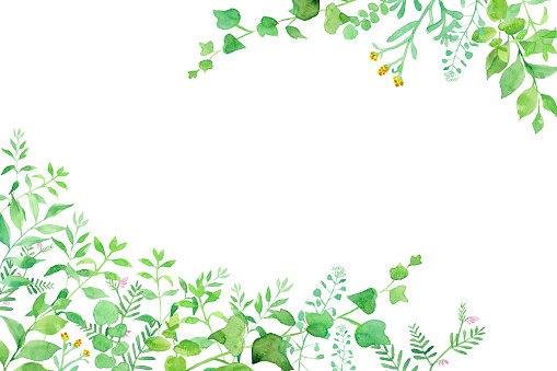 Ilustración de Marco Decorativo De Dos Esquinas De Flores Verdes Ilustración De Acuarela y más Vectores Libres de Derechos de Pintura de acuarela - iStock Ilustración de Marco Decorativo De Dos Esquinas De Flores Verdes Ilustración De Acuarela y más Vectores Libres de Derechos de Pintura de acuarela - iStock
