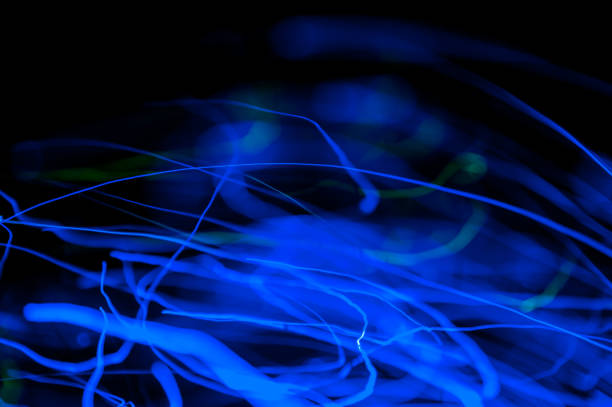 istock Abstract neon colorful background. Creative bokeh. Selective focus. Template for design. 1205296565