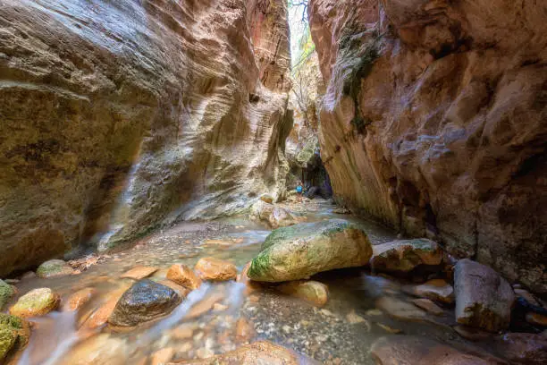 Amazing Avakas gorge, nature landscape, Cyprus. View of the popular canyon, tourist attraction in Paphos district, outdoor travel background