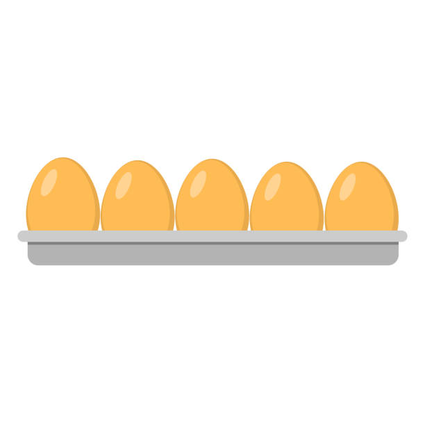 ilustrações de stock, clip art, desenhos animados e ícones de plastic container with eggs. tray with eggs on a white background. - packing duck