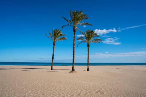 istock Cullera beach Sant Antoni Antonio in Valencia Spain 1205299070
