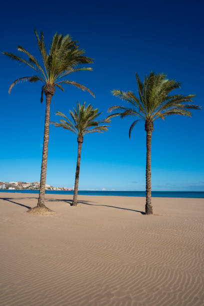istock Cullera beach Sant Antoni Antonio in Valencia Spain 1205299937