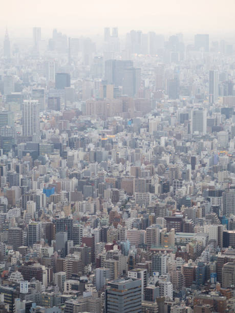 istock City skyline of Tokyo from above 1205300082