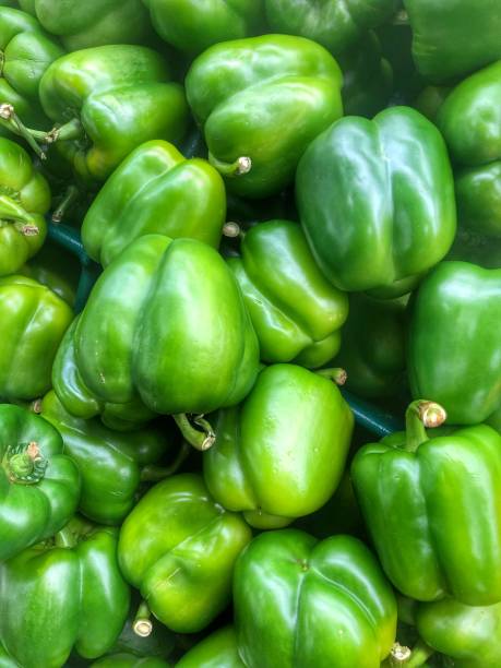 Full frame full of green bell peppers - background Bell peppers fill the frame vertical green bell pepper stock pictures, royalty-free photos & images