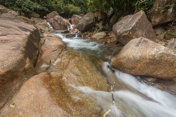 istock beautiful waterfall in green forest in jungle 1205300168