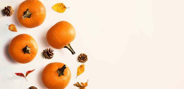 istock Autumn pumpkins with leaves 1205300875