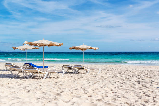 istock Sunbeds and umbrellas on sandy beach 1205301175