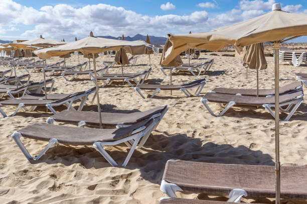 istock Rows of sunbeds and umbrellas 1205301271
