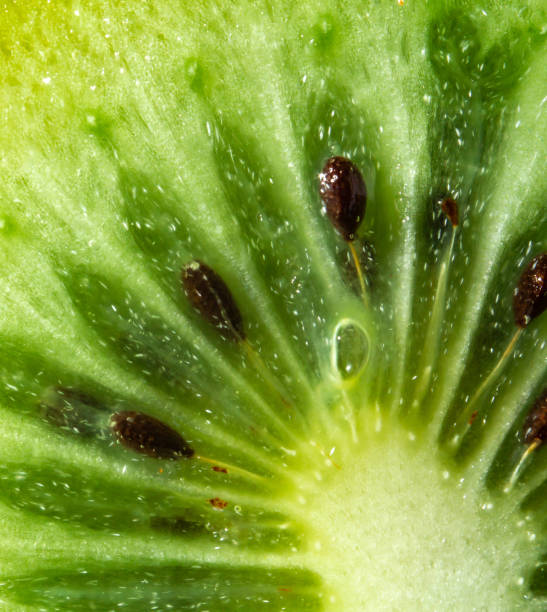 istock green kiwi with pits on a blue background. close up 1205301541