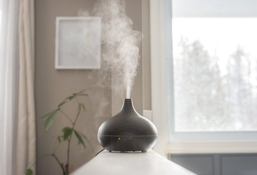 Essential oils diffusing at home in the morning light in Ottawa, ON, Canada