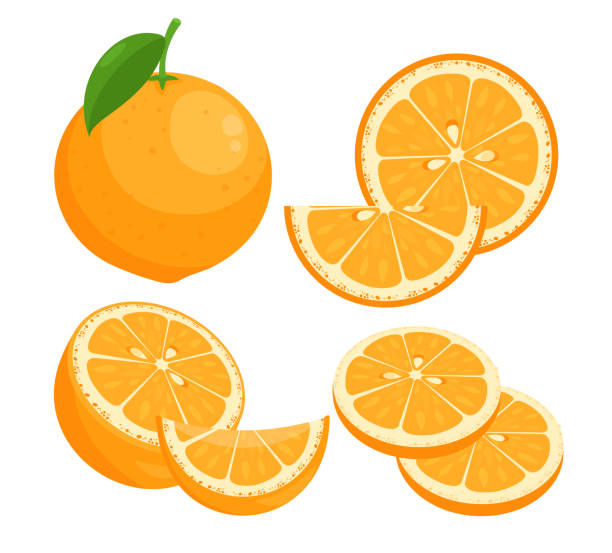 Oranges flat vector illustrations set. Juicy ripe citrus whole in peel with leaf isolated pack on white background. Summer natural fresh fruit slices with seeds design elements collection. Oranges flat vector illustrations set. Juicy ripe citrus whole in peel with leaf isolated pack on white background. Summer natural fresh fruit slices with seeds design elements collection summer collection stock illustrations